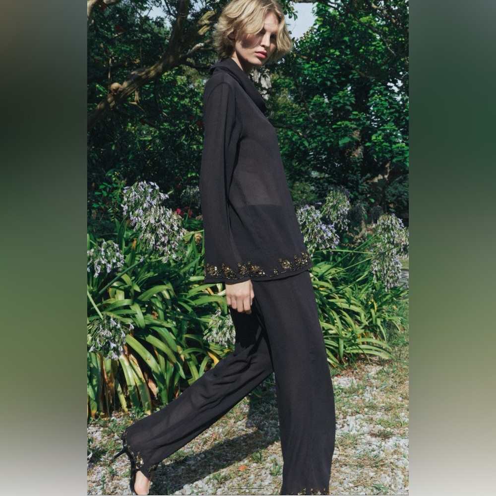 ZARA NWT TWO PIECE SIZE MEDIUM ZW BEADED COLLECTION PANTS AND SHIRT.